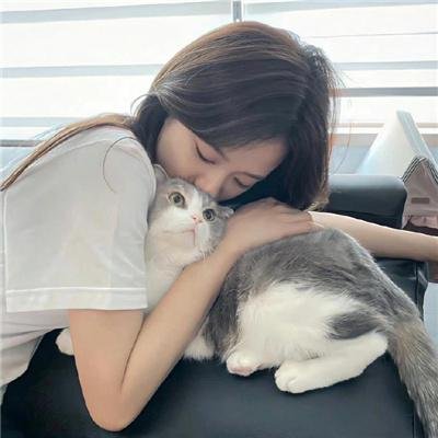 忽然七日